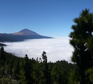 De vulkaan Teide boven de wolken