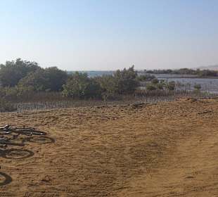 Fahrradausflug in die Wüste