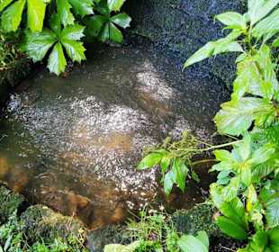 Vom Wasserfall Auffangbecken
