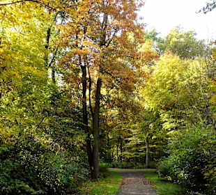 Herbstspaziergang durch den Bürgerpark Bremen