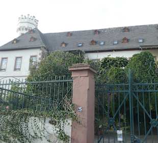 Beim Bassenheimer Hof in Rüdesheim