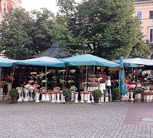 Salzplatz