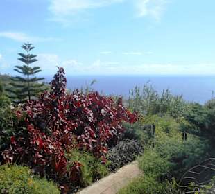 Jardim de São Martinho