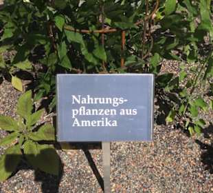Botanischer Garten der Universität Zürich