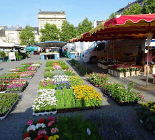 Impressionen des Wochenmarkt in Luxemburg Stadt