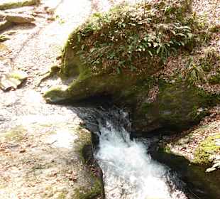 Ehrbachklamm