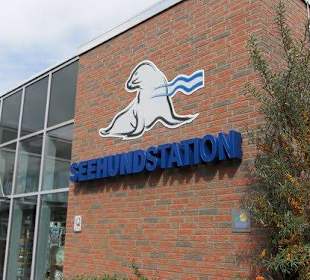 Seehundstation Norddeich