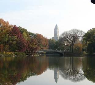Central Park