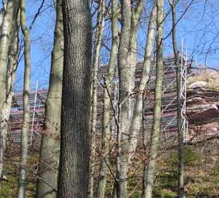 Dauerbaustelle Ruine Meistersel