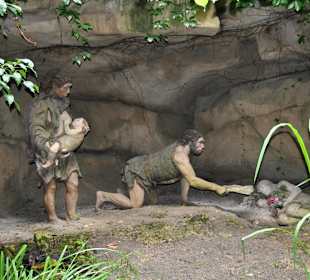 Zoo Hannover