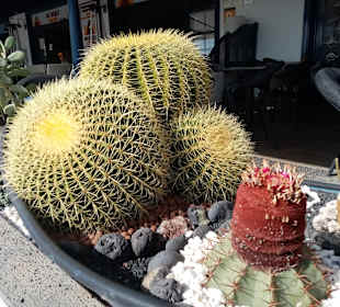 Wandern Puerto Calero