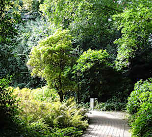 Spaziergang durch Thieles Garten
