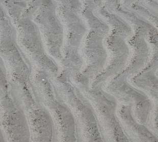 Am Strand