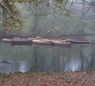 Herbstnebel im Bremer Bürgerpark