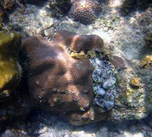 Underwater,fast am Hotelbeach