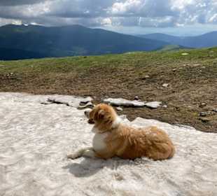 Schneefeld zur Abkühlung 