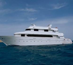 Safariboot MY Nouran