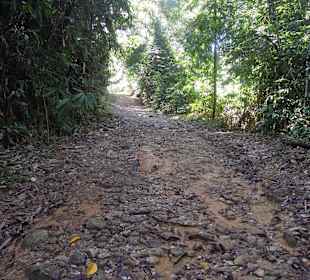 Steiler Weg zum Ton Chongfa Wasserfall