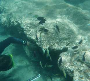 Bewohnte Riffe vor Tarajalejo