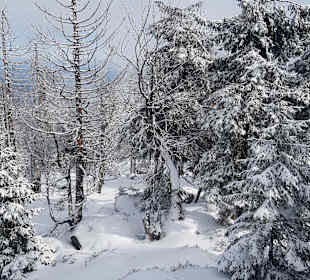 Wandern Alexisbad