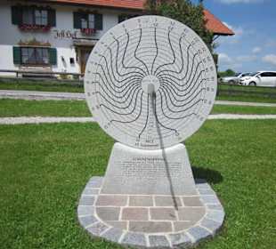 Sonnenspinne