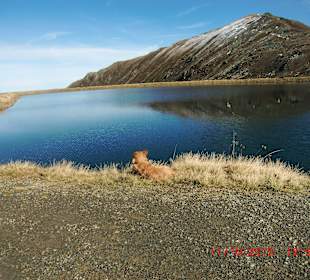 Wandern Neukirchen am Großvenediger