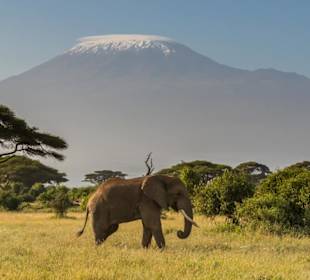 Kilimanjaro / Amboseli NP