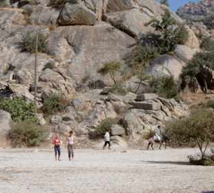 Landschaft um den Bafasee