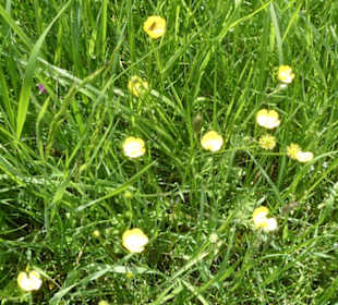 Unterwegs auf der Ostheimer Streifberg-Tour
