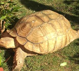 Hurghada Marine Museum & Aquarium