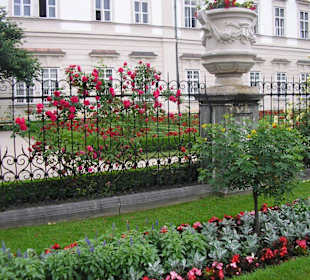 Blick in den Rosengarten