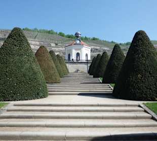 Treppe zum Belvedere
