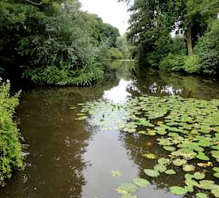 Spaziergang durch das Schönebecker Auetal