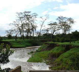 Im Sweetwaters Schutzgebiet 