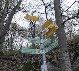 Eiszeitpfad - Burgfelsenpfad