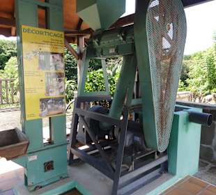 Kaffeebearbeitung mit Wasserkraft