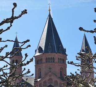 Bei einer Stadtführung durch Mainz