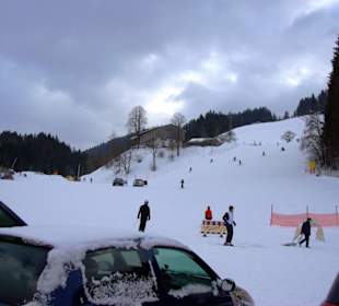 Scheffau/Skigebiet im Bild