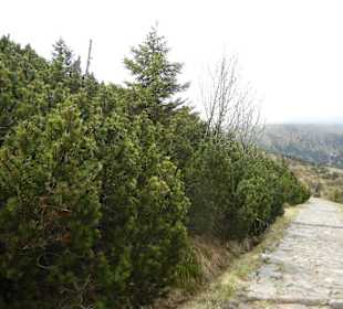 Karkonoski Park Narodowy