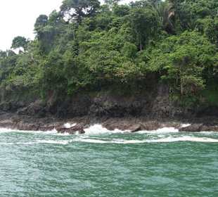 Manuel Antonio Bucht