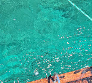 Bootstour Poseidon Çesme