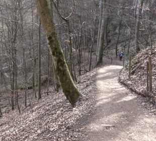Wasserfallsteig