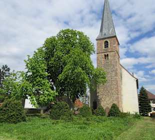 Protestantischen Kirche Gommersheim