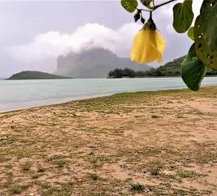 Strand Corail de la Prairie