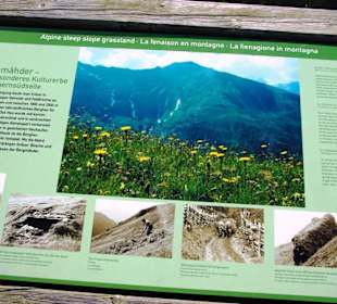 Info Kasereck