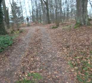 Stationenweg am Kreuzberg Bremelau