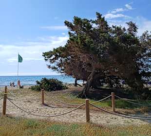 Strand