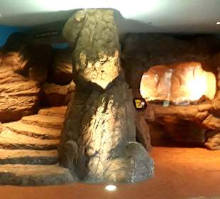 Singapur Zoo