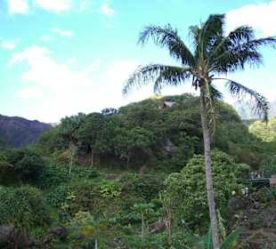 Ein heiliger Ort der Urbevölkerung