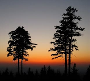 Eine Perspektive schöner als die andere